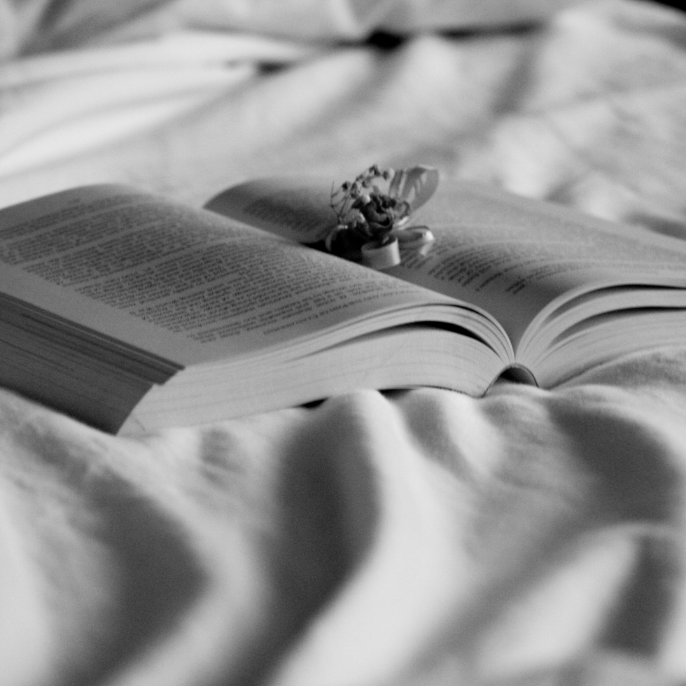 black and white book with flower in sheets